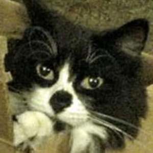 Meet your Posher, Carol s